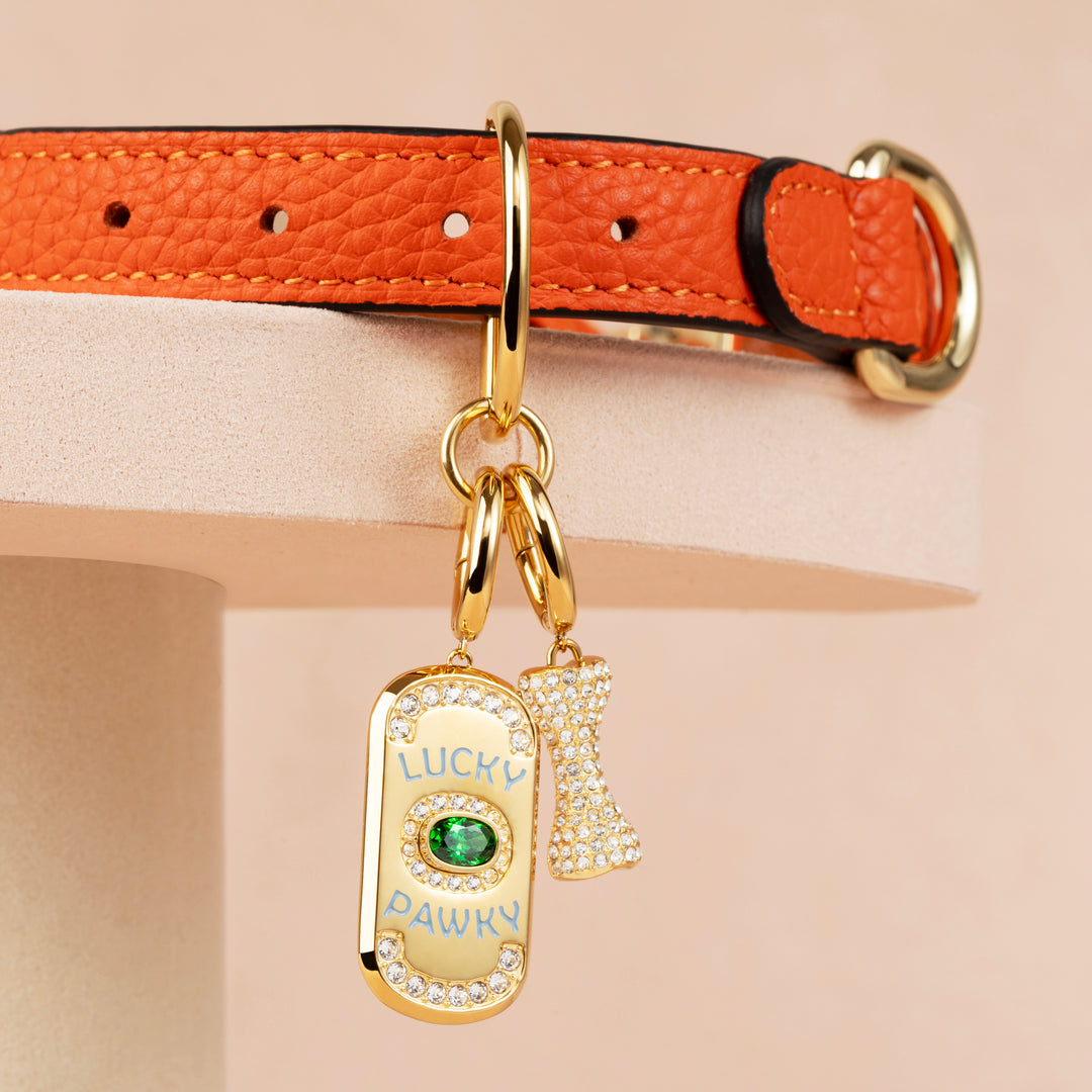 PET IT ON Amulet Charm Set - Lucky Pawky + Dog Bone - ARTĒ Madrid